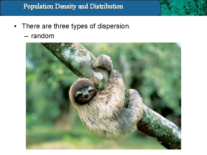 Population Density and Distribution 14. 3 Population Density And Distribution • There are three
