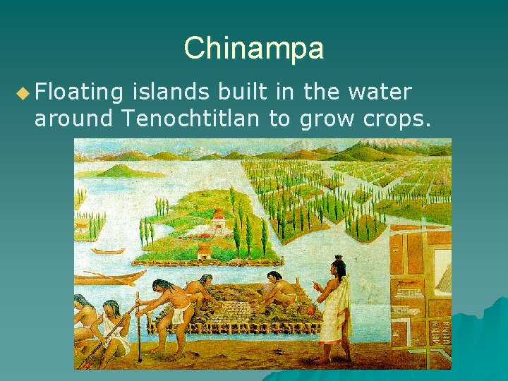 Chinampa u Floating islands built in the water around Tenochtitlan to grow crops. 