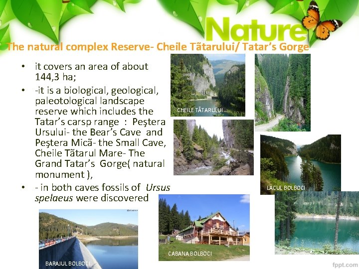 The natural complex Reserve- Cheile Tãtarului/ Tatar’s Gorge • it covers an area of