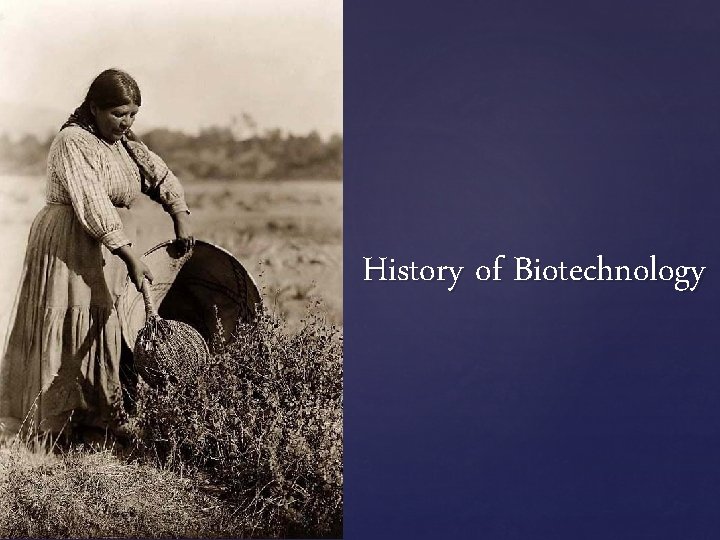 { History of Biotechnology 