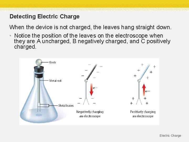 Detecting Electric Charge When the device is not charged, the leaves hang straight down. Detecting Electric Charge When the device is not charged, the leaves hang straight down.