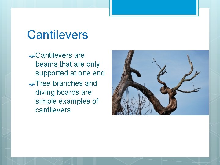 Cantilevers are beams that are only supported at one end Tree branches and diving