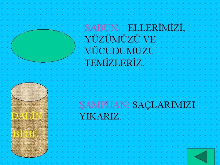 SABUN: ELLERİMİZİ, YÜZÜMÜZÜ VE VÜCUDUMUZU TEMİZLERİZ. DALİN BEBE ŞAMPUAN: SAÇLARIMIZI YIKARIZ. 