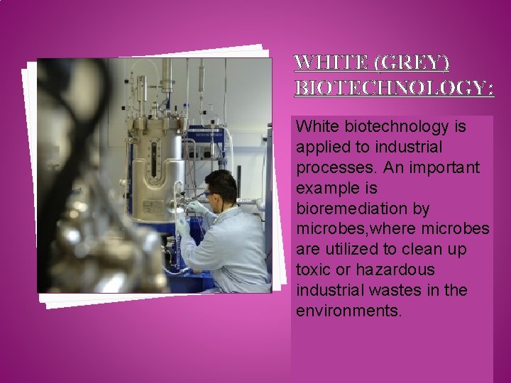 WHITE (GREY) BIOTECHNOLOGY: White biotechnology is applied to industrial processes. An important example is