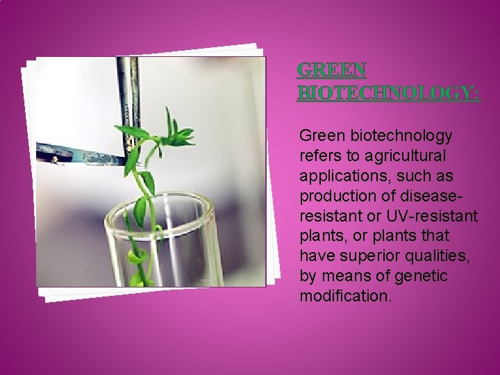 GREEN BIOTECHNOLOGY: Green biotechnology refers to agricultural applications, such as production of diseaseresistant or