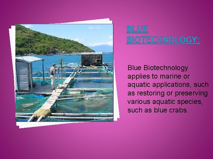 BLUE BIOTECHNOLOGY: Blue Biotechnology applies to marine or aquatic applications, such as restoring or