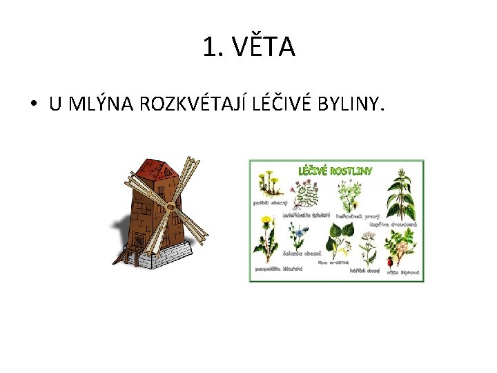 1. VĚTA • U MLÝNA ROZKVÉTAJÍ LÉČIVÉ BYLINY. 