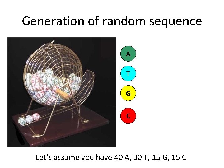 Generation of random sequence A T G C Let’s assume you have 40 A,