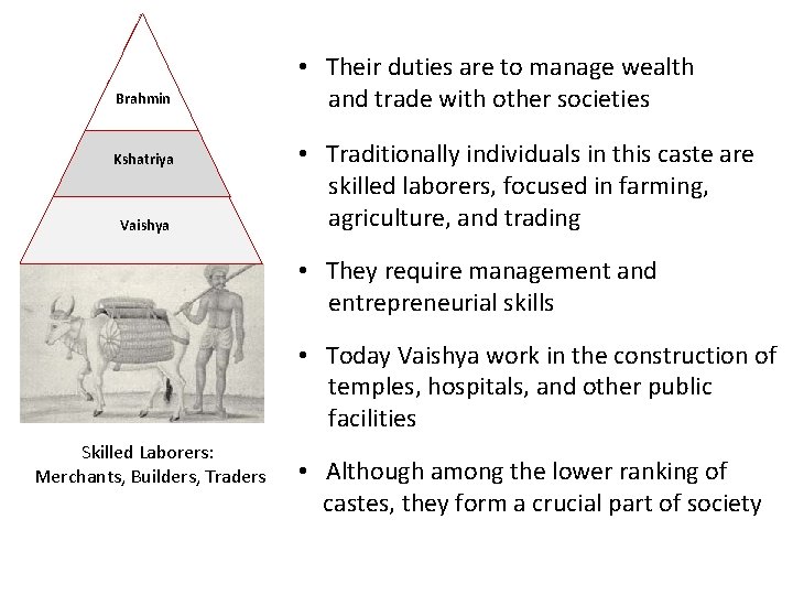 Brahmin Kshatriya Vaishya • Their duties are to manage wealth and trade with other