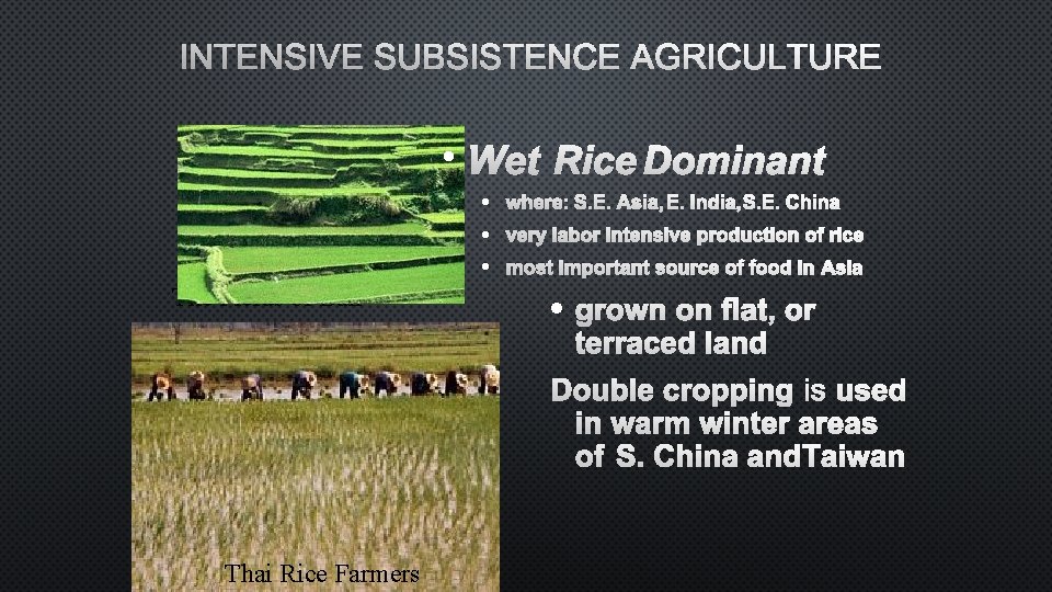 INTENSIVE SUBSISTENCE AGRICULTURE • WET RICE DOMINANT The Fields of Bali · WHERE: S.