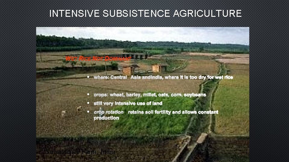 INTENSIVE SUBSISTENCE AGRICULTURE WET RICE NOT DOMINANT · WHERE: CENTRAL ASIA AND INDIA, WHERE