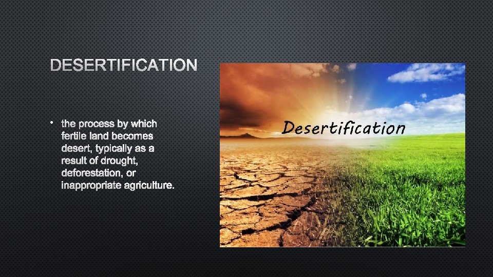 DESERTIFICATION • 