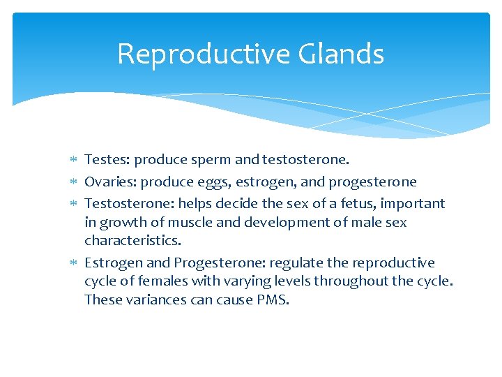 Reproductive Glands Testes: produce sperm and testosterone. Ovaries: produce eggs, estrogen, and progesterone Testosterone: