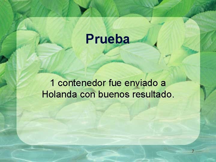 Prueba 1 contenedor fue enviado a Holanda con buenos resultado. 7 