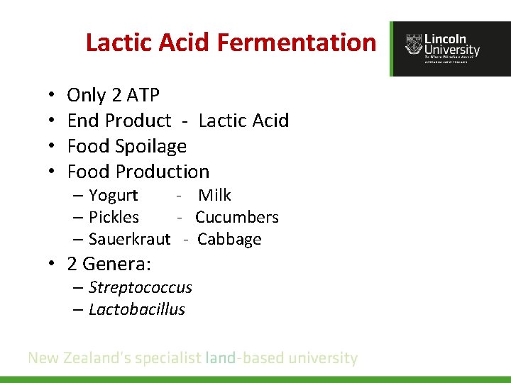Lactic Acid Fermentation • • Only 2 ATP End Product - Lactic Acid Food
