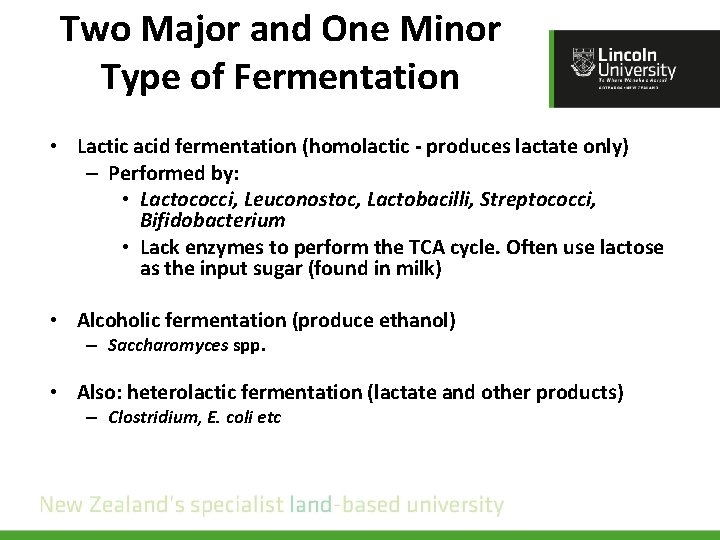 Two Major and One Minor Type of Fermentation • Lactic acid fermentation (homolactic -