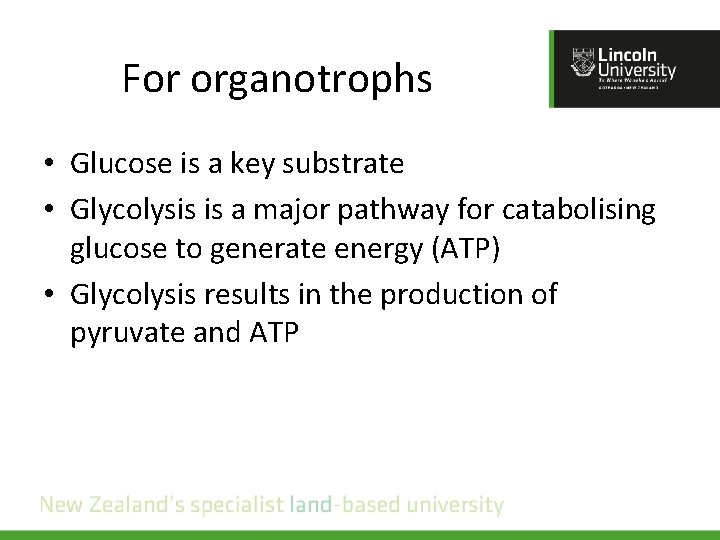 For organotrophs • Glucose is a key substrate • Glycolysis is a major pathway