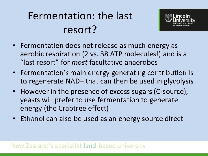Fermentation: the last resort? • Fermentation does not release as much energy as aerobic