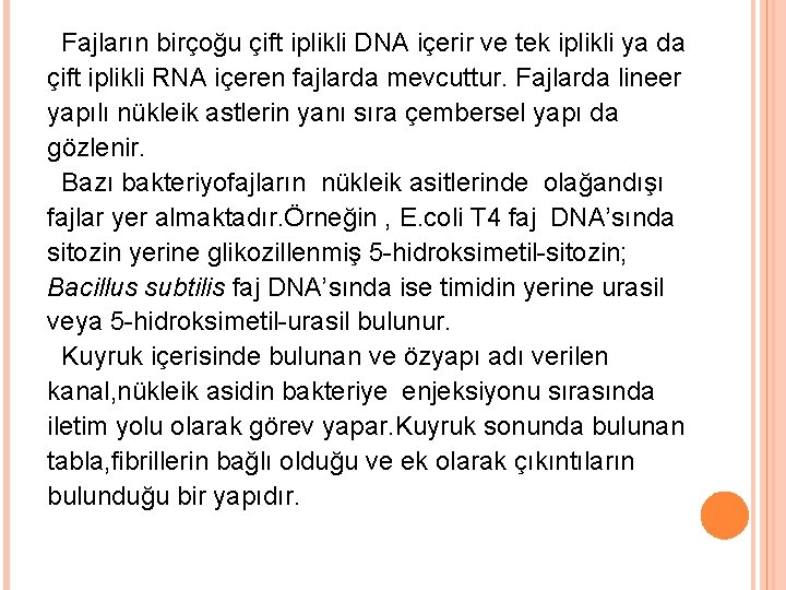 Fajların birçoğu çift iplikli DNA içerir ve tek iplikli ya da çift iplikli RNA