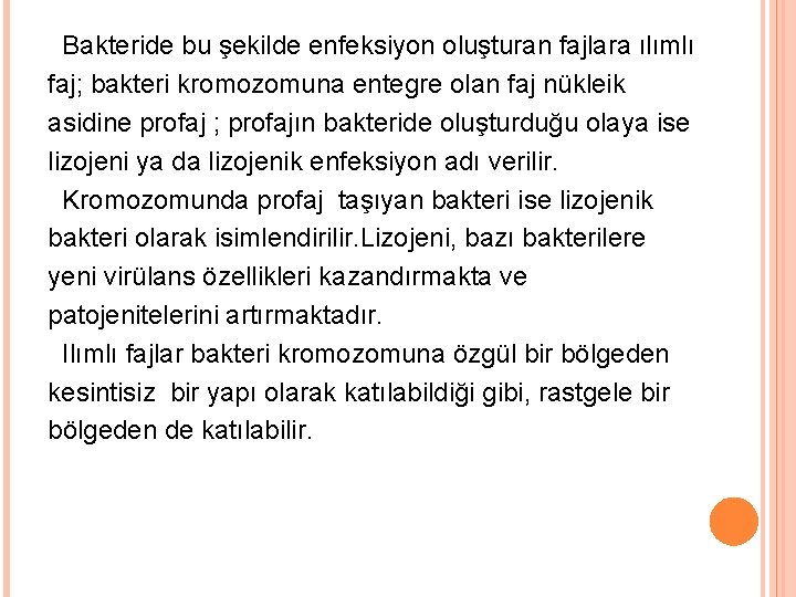 Bakteride bu şekilde enfeksiyon oluşturan fajlara ılımlı faj; bakteri kromozomuna entegre olan faj nükleik