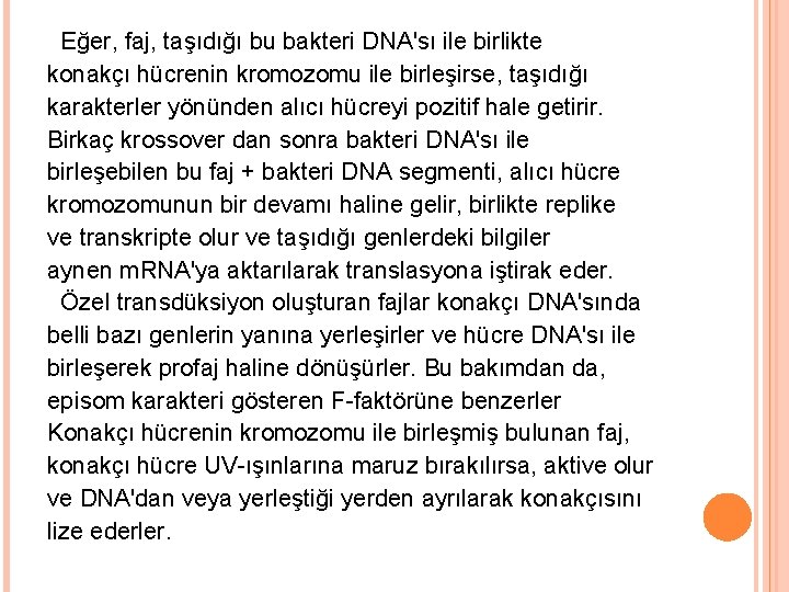 Eğer, faj, taşıdığı bu bakteri DNA'sı ile birlikte konakçı hücrenin kromozomu ile birleşirse, taşıdığı