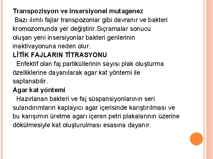 Transpozisyon ve insersiyonel mutagenez Bazı ılımlı fajlar transpozonlar gibi davranır ve bakteri kromozomunda yer