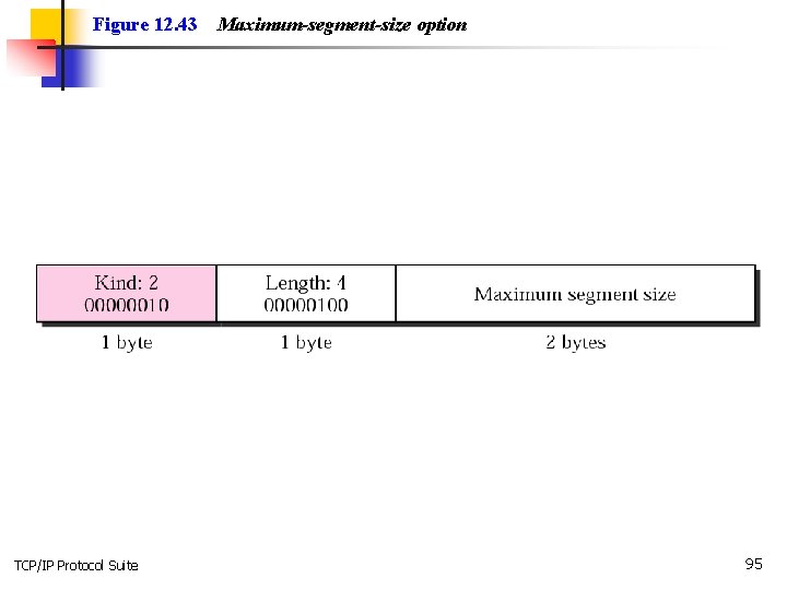 Figure 12. 43 TCP/IP Protocol Suite Maximum-segment-size option 95 