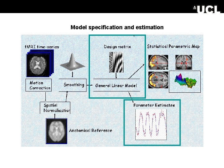 Model specification and estimation 