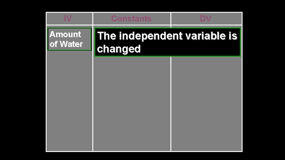 IV Amount of Water Constants DV The independent variable is changed 
