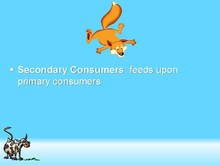 § Secondary Consumers: feeds upon primary consumers 