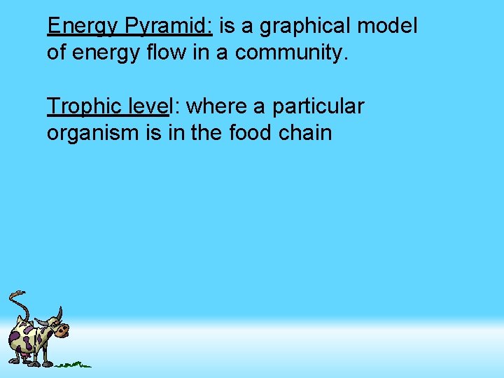Energy Pyramid: is a graphical model of energy flow in a community. Trophic level: