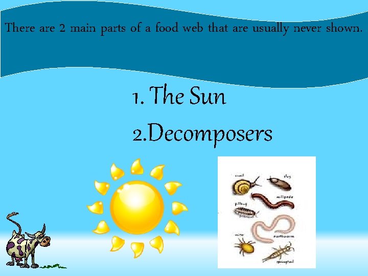 There are 2 main parts of a food web that are usually never shown.