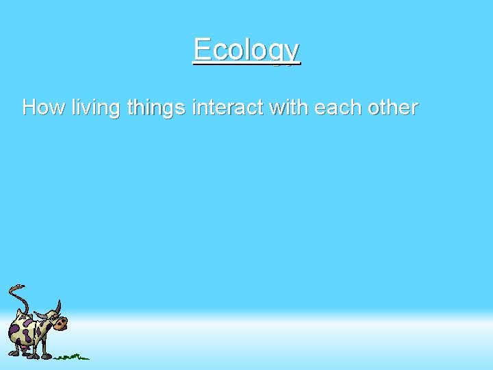 Ecology How living things interact with each other 