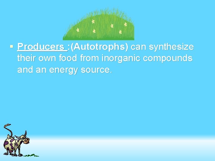 § Producers : (Autotrophs) can synthesize their own food from inorganic compounds and an