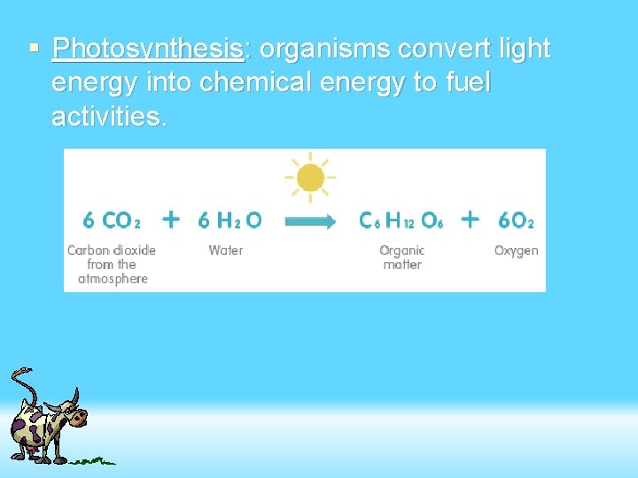 § Photosynthesis: organisms convert light energy into chemical energy to fuel activities. 