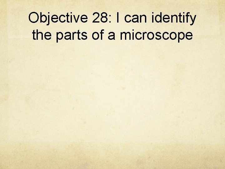 Objective 28: I can identify the parts of a microscope 