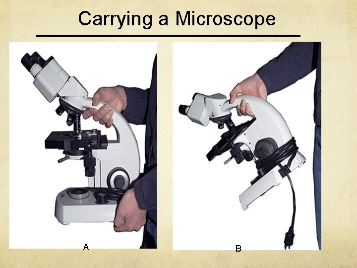 Carrying a Microscope A B 