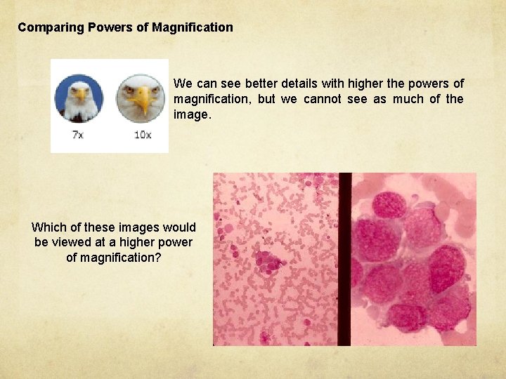 Comparing Powers of Magnification We can see better details with higher the powers of