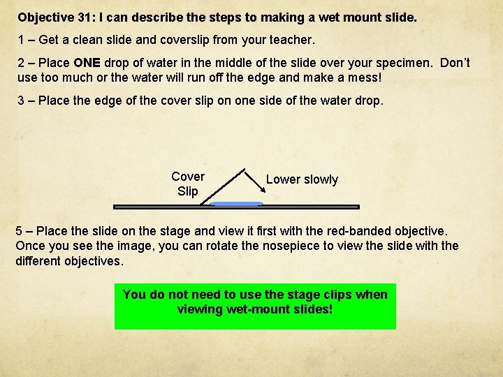 Objective 31: I can describe the steps to making a wet mount slide. 1