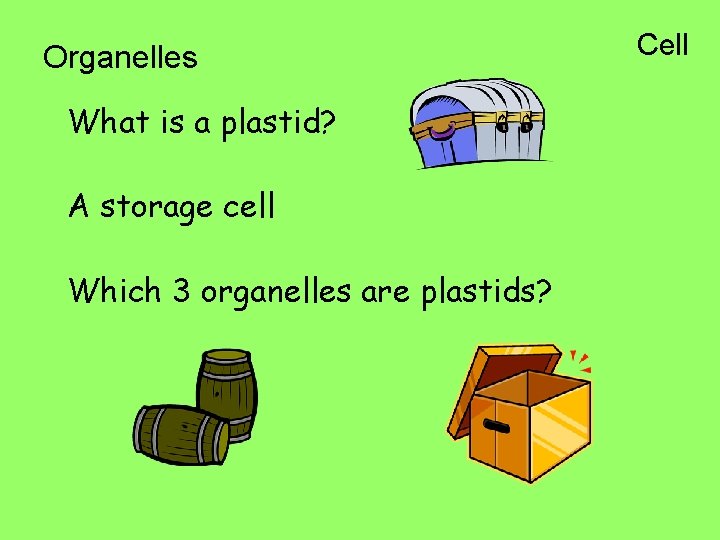 Organelles What is a plastid? A storage cell Which 3 organelles are plastids? Cell