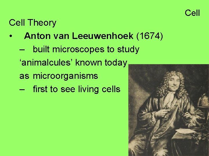 Cell Theory • Anton van Leeuwenhoek (1674) – built microscopes to study ‘animalcules’ known