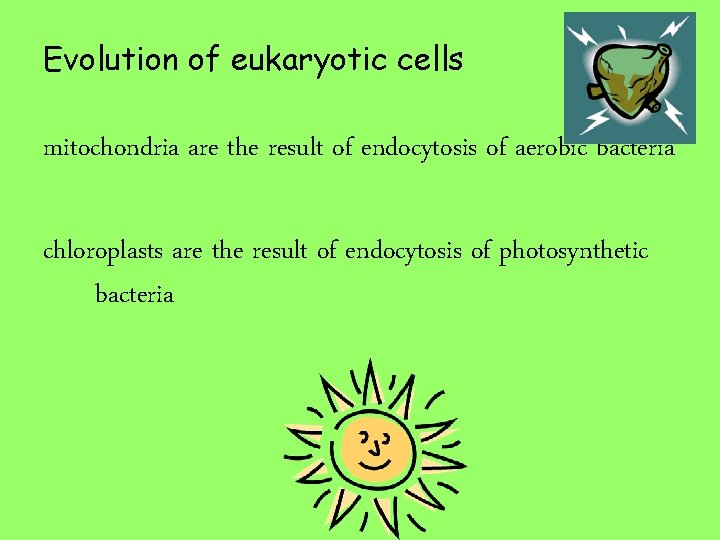 Evolution of eukaryotic cells Cell mitochondria are the result of endocytosis of aerobic bacteria