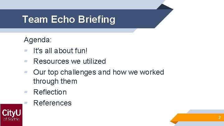 Team Echo Briefing Agenda: ▰ It's all about fun! ▰ Resources we utilized ▰