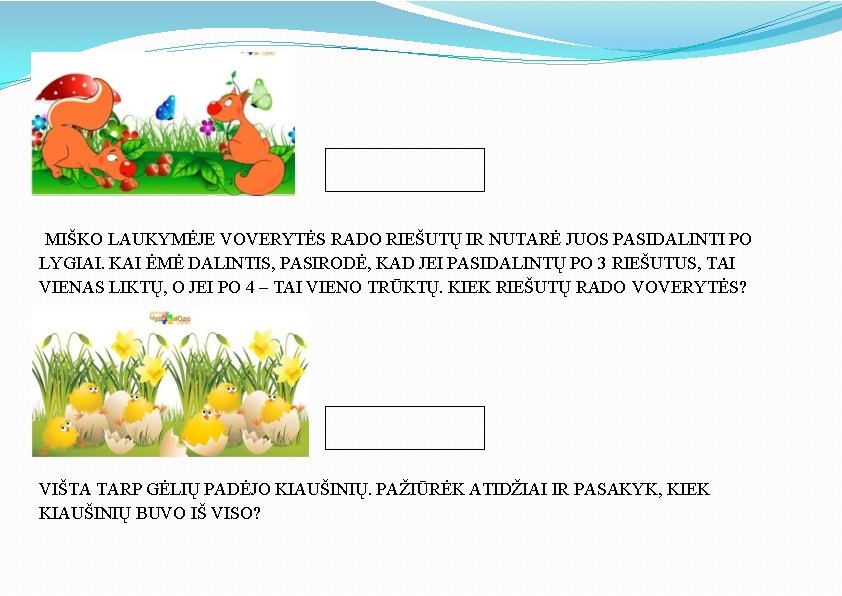 MIŠKO LAUKYMĖJE VOVERYTĖS RADO RIEŠUTŲ IR NUTARĖ JUOS PASIDALINTI PO LYGIAI. KAI ĖMĖ DALINTIS,