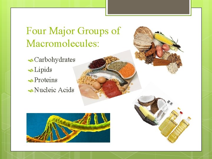 Four Major Groups of Macromolecules: Carbohydrates Lipids Proteins Nucleic Acids 
