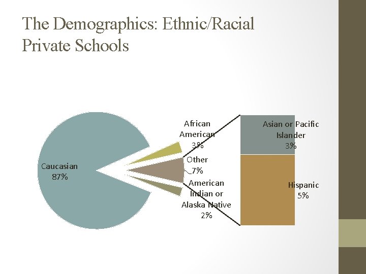 The Demographics: Ethnic/Racial Private Schools African American 3% Caucasian 87% Other 7% American Indian