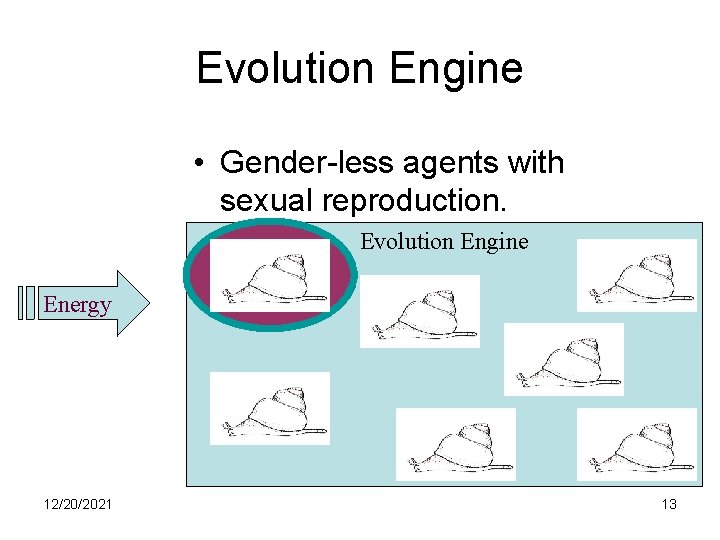 Evolution Engine • Gender-less agents with sexual reproduction. Evolution Engine Energy 12/20/2021 13 