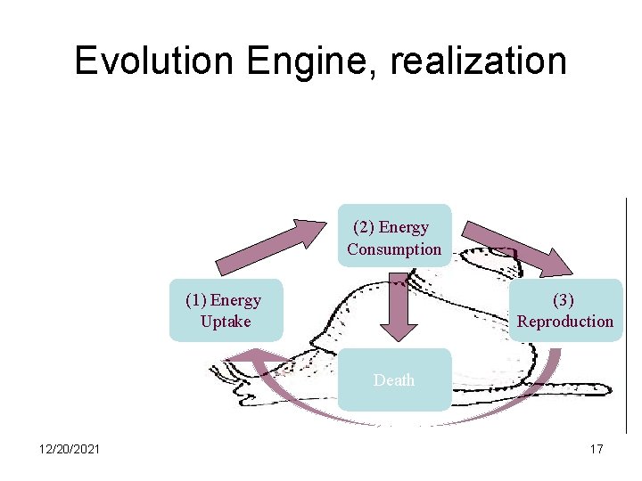 Evolution Engine, realization Evolution Engine (2) Energy Consumption (1) Energy Uptake (3) Reproduction Death