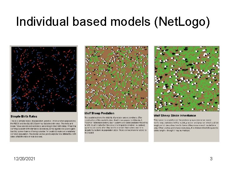 Individual based models (Net. Logo) 12/20/2021 3 