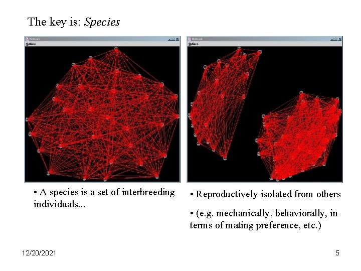 The key is: Species • A species is a set of interbreeding individuals. .